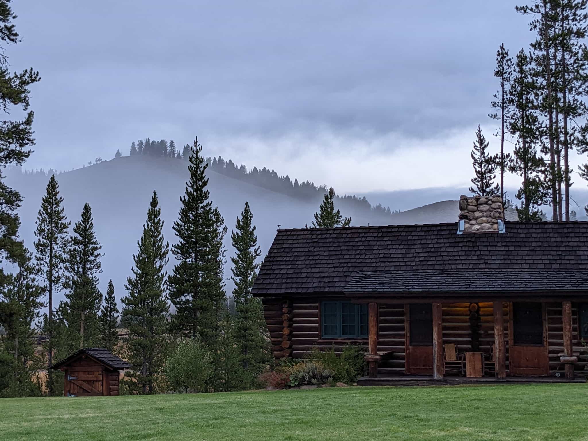 cabin surrounded by tall pine trees with grass lawn in front and hazy view of hill behind