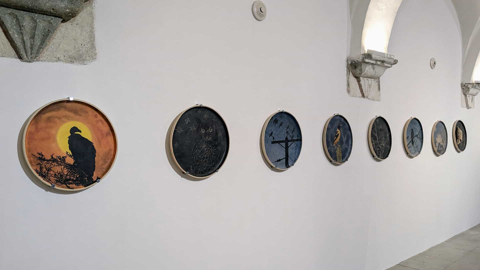 A series of circular paintings, each depicting a different iconic bird like vultures, owls, blackbirds, and orioles.