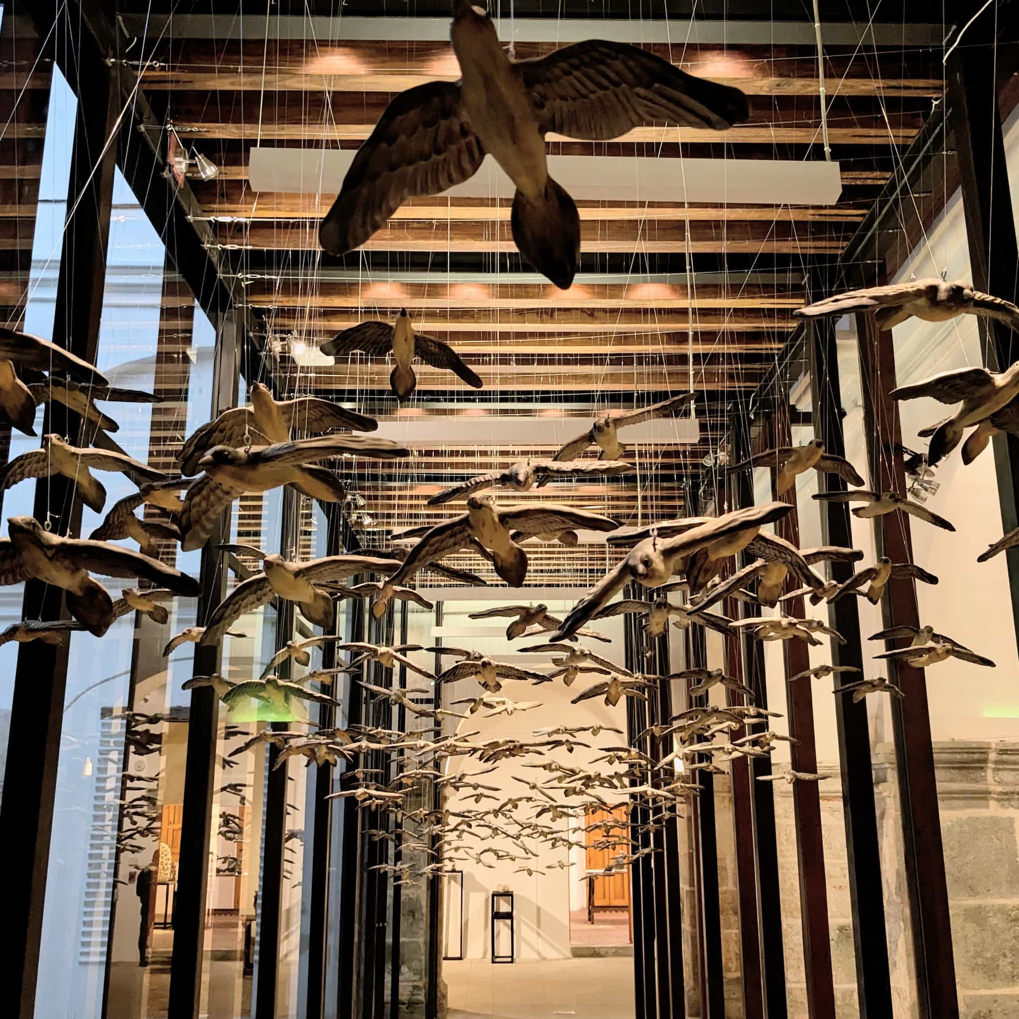 Glass hallway filled with a flock of wooden bird carvings hanging from string.