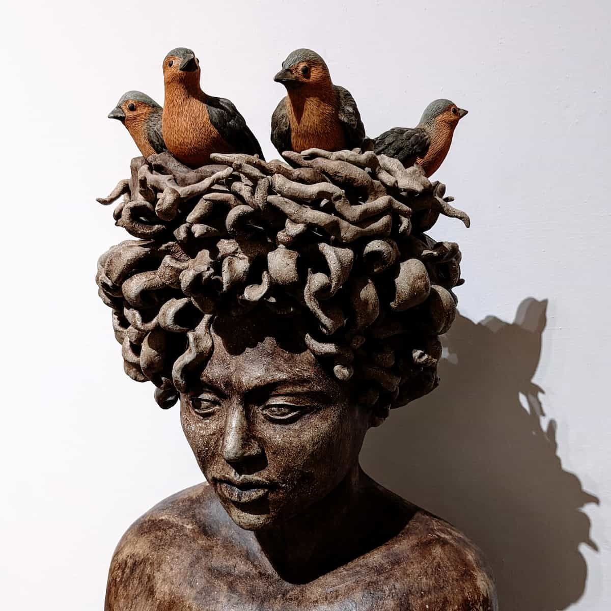 Four birds looking out from a woman's curly hair that resembles a nest.