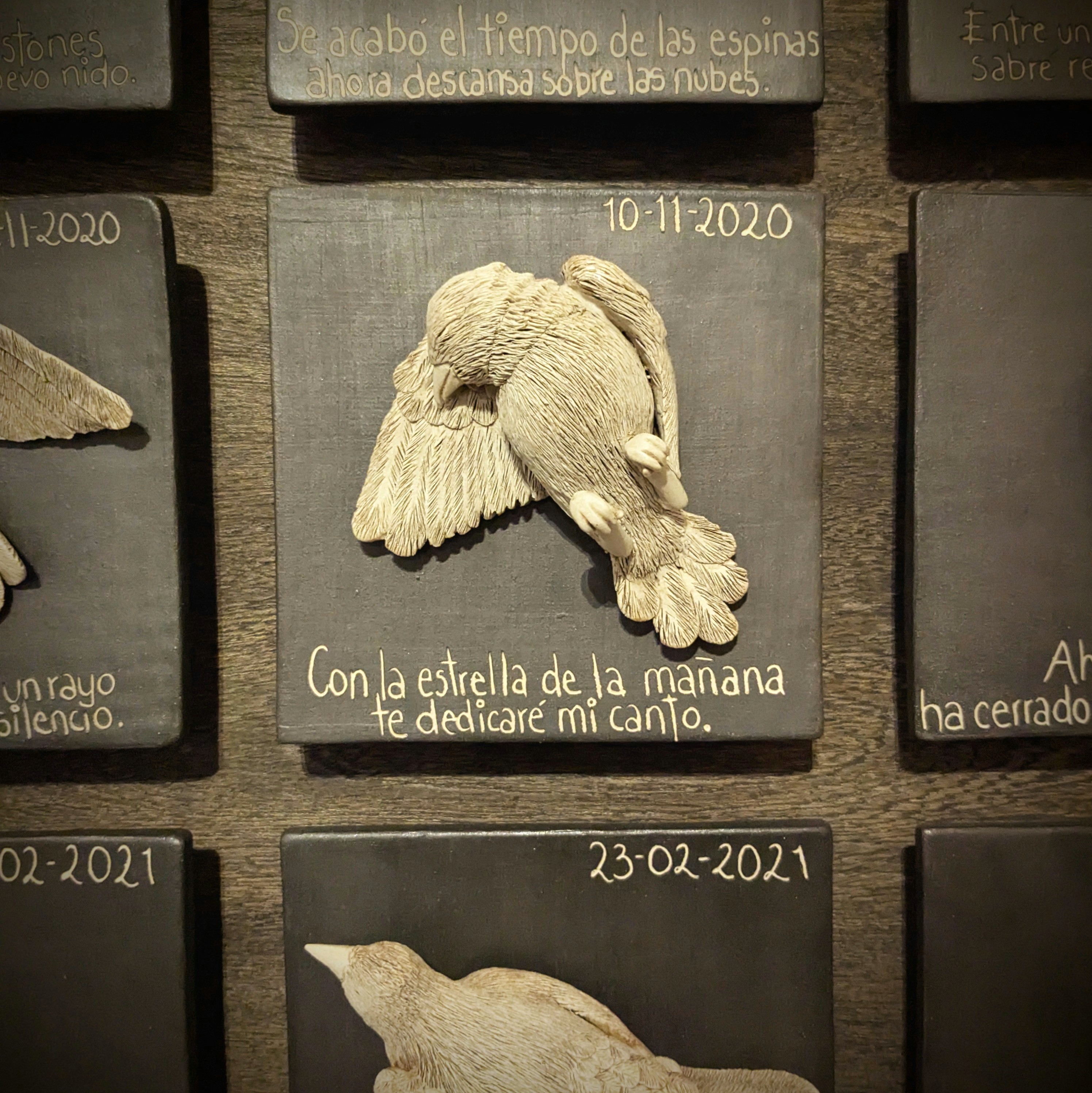 Close up of a dead, white bird, mounted on a square among other similar squares with a date and a poem about 'Dedicating my song'.