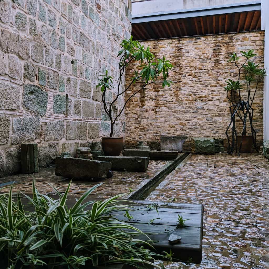Plants in an outdoor space enclosed by wet rock walls.