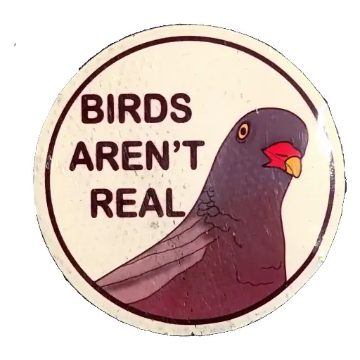 Circular sticker of a pigeon and the text 'Birds arent real'