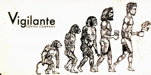 Sticker of an ape's evolution into a man with a coffee cup and the text 'Vigilante Coffee Company'